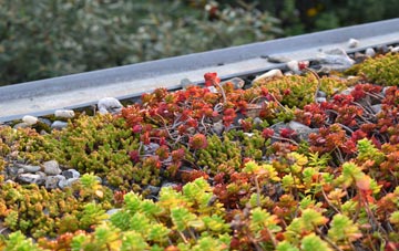 the cost of Red Bull green roof installation