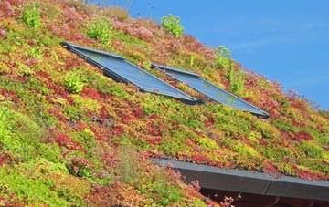 Red Bull living roof systems